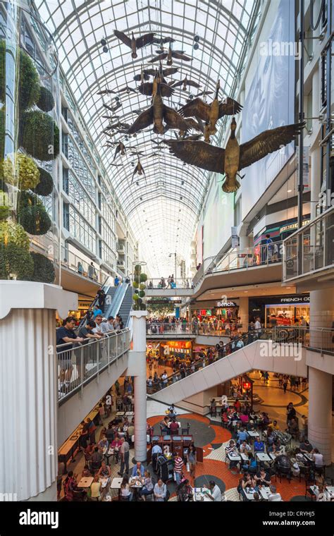 shopping at eaton centre mall